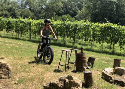 urban bikery wine tour ebike experience