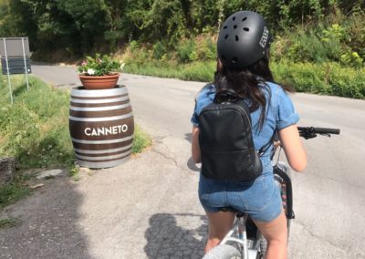 wine tour ebike experience canneto