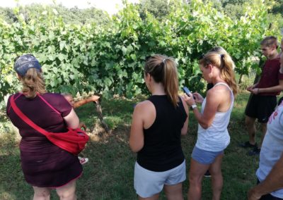 wine tour ebike experience molinaccio