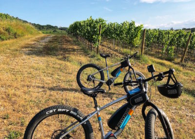 E-Bike Wine Canneto Montepulciano