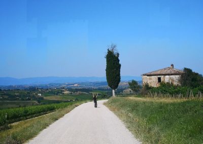 Distanziamento sociale ed ebike in toscana