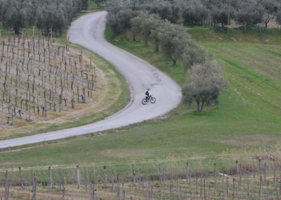 cinema tour e val dorcia urban bikery zoom