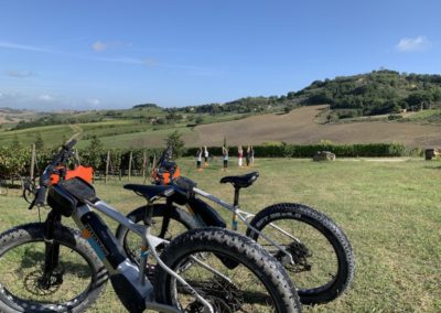 yoga in vineyard urban bikery ebikes