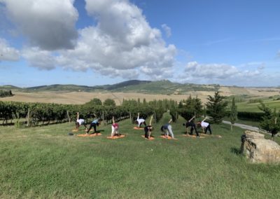 yoga in vineyard urban bikery montefollonico